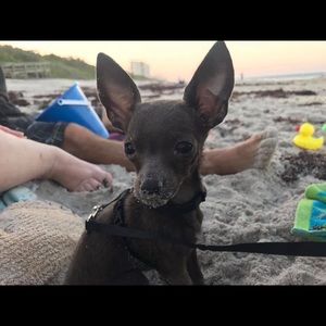 Meet your Posher, Caitlin